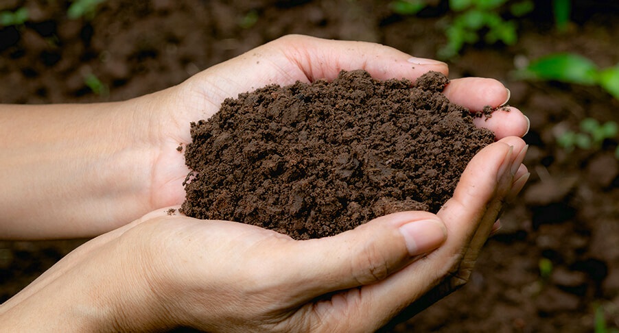 Fertilizante Organico